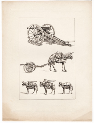 [cannon, horses carrying cannons]